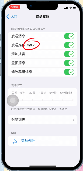 选择允许的媒体类型